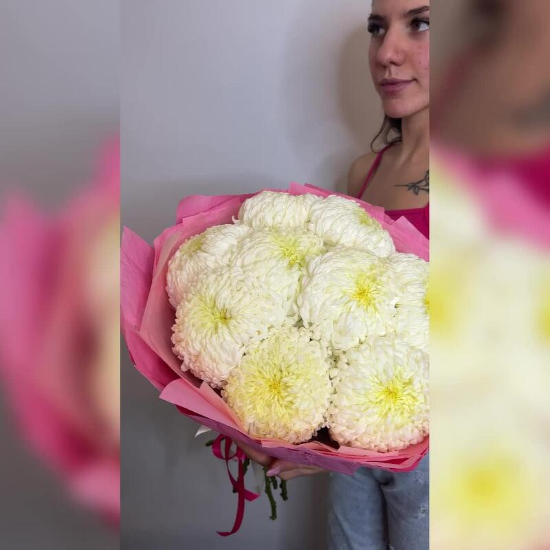 Хризантема белая Хризантема белая