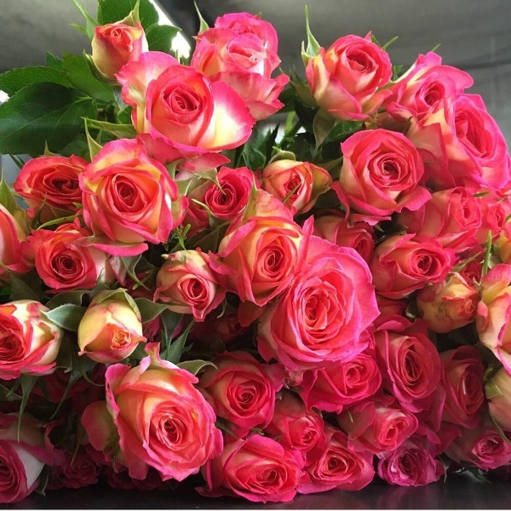 Букет из кустовых роз